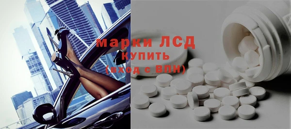 прущие грибы Инта