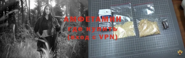 прущие грибы Инта
