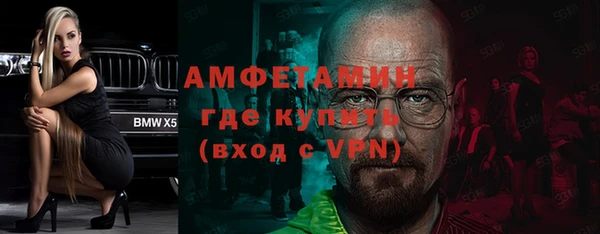стаф Каменка