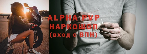 стаф Каменка