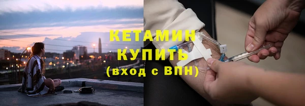 прущие грибы Инта