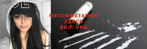 прущие грибы Инта