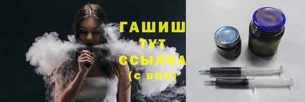 стаф Каменка