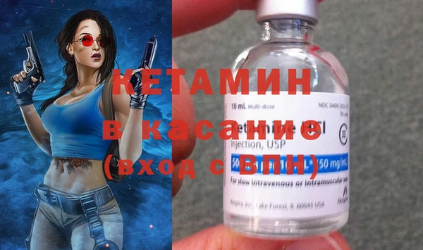 прущие грибы Инта