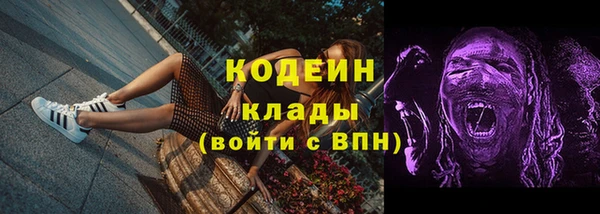 дживик Инсар