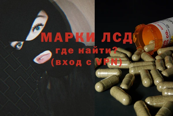 дживик Инсар