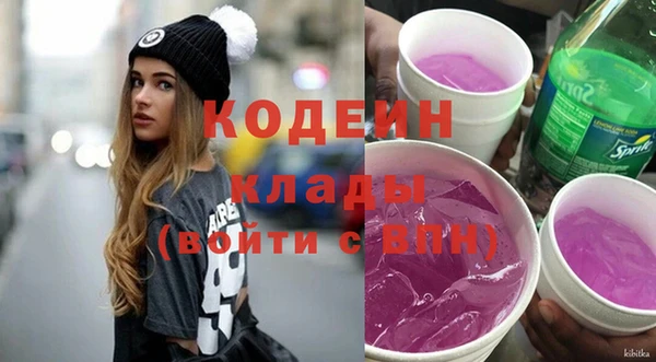 прущие грибы Инта