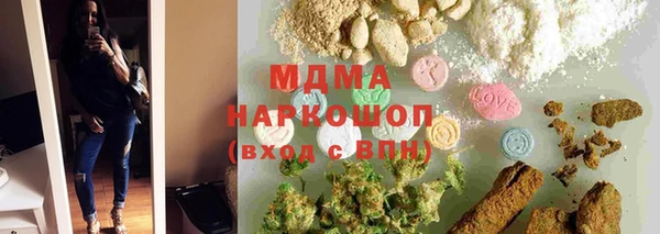 прущие грибы Инта