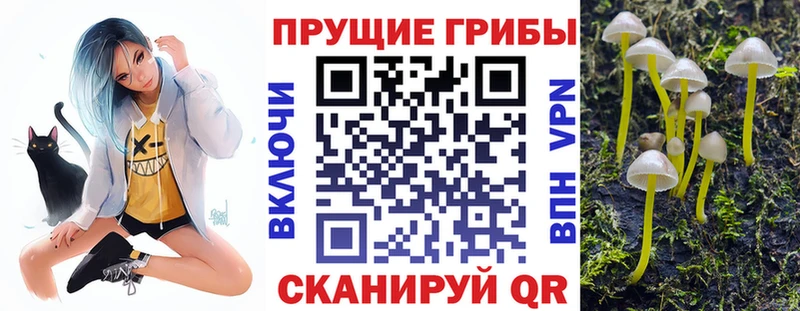 купить наркотик  Пересвет  Галлюциногенные грибы ЛСД 