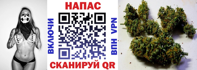 Конопля тримм  Пересвет 